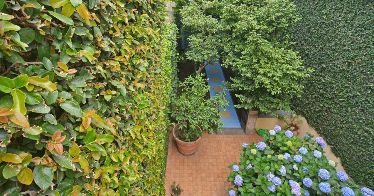 B&B Di Charme Camelie Palazzo Nicotra Riposto Exterior foto